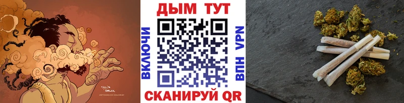 где можно купить наркотик  Ленинградская  Бошки марихуана Amnesia 
